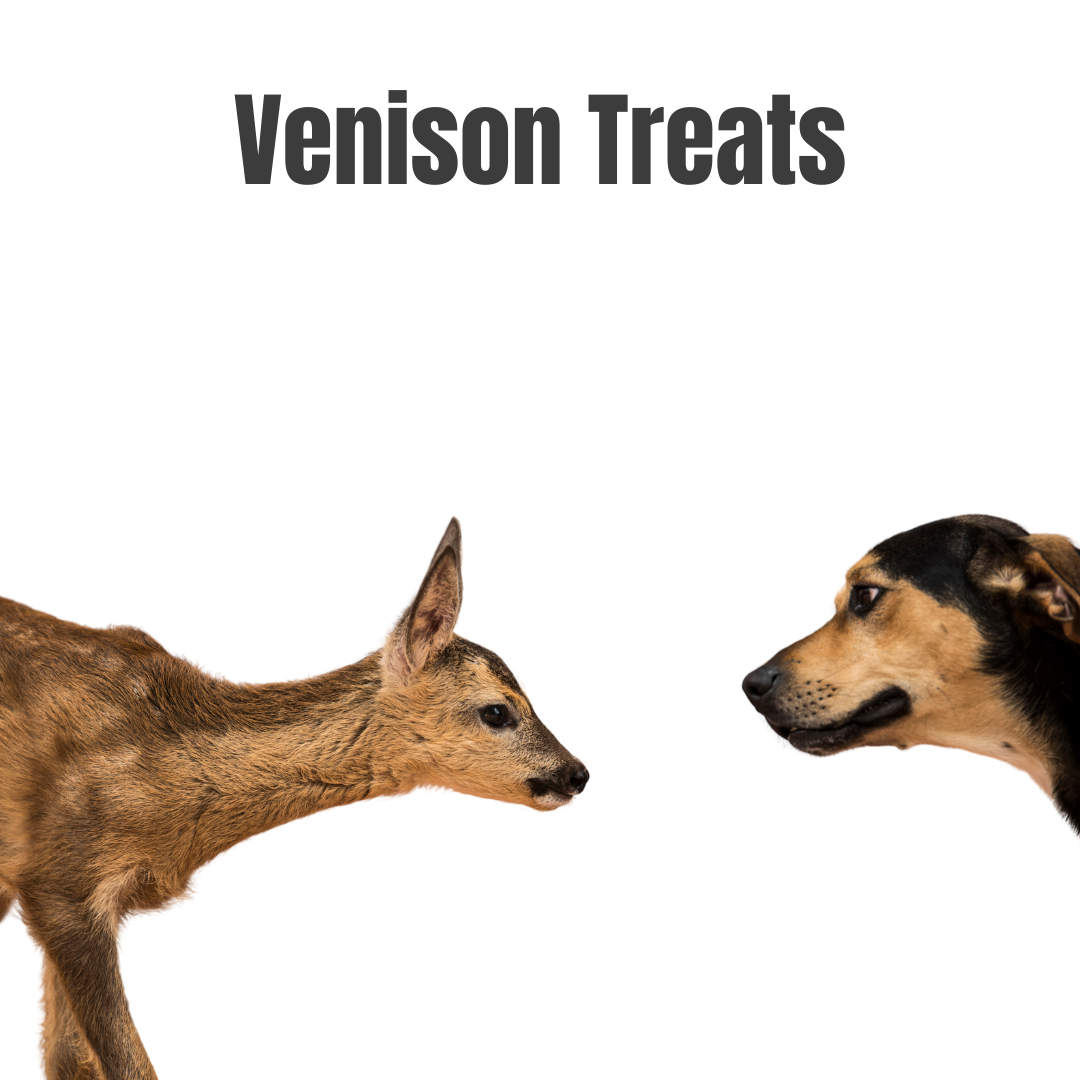 Venison