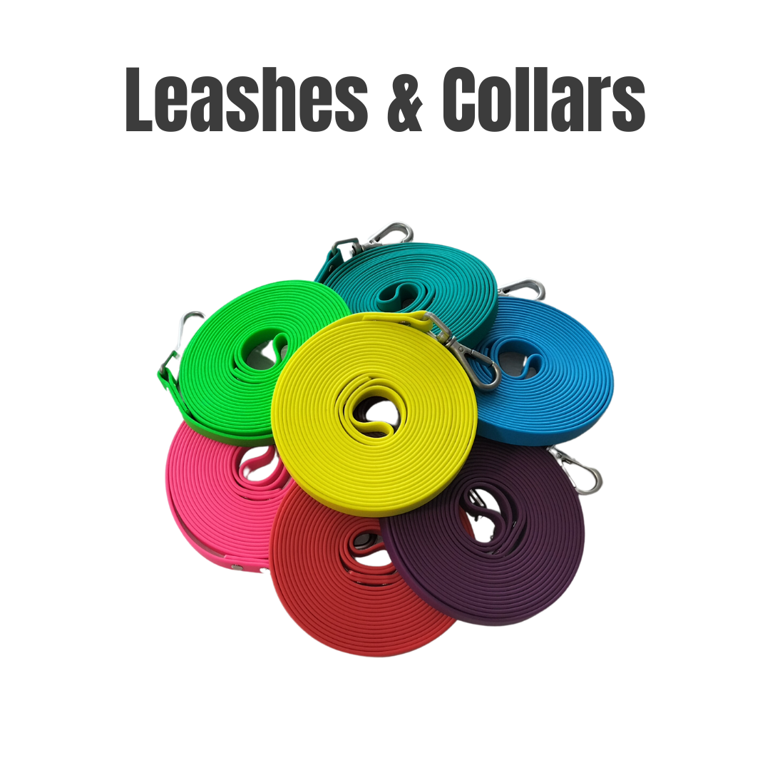 Leashes & Collars