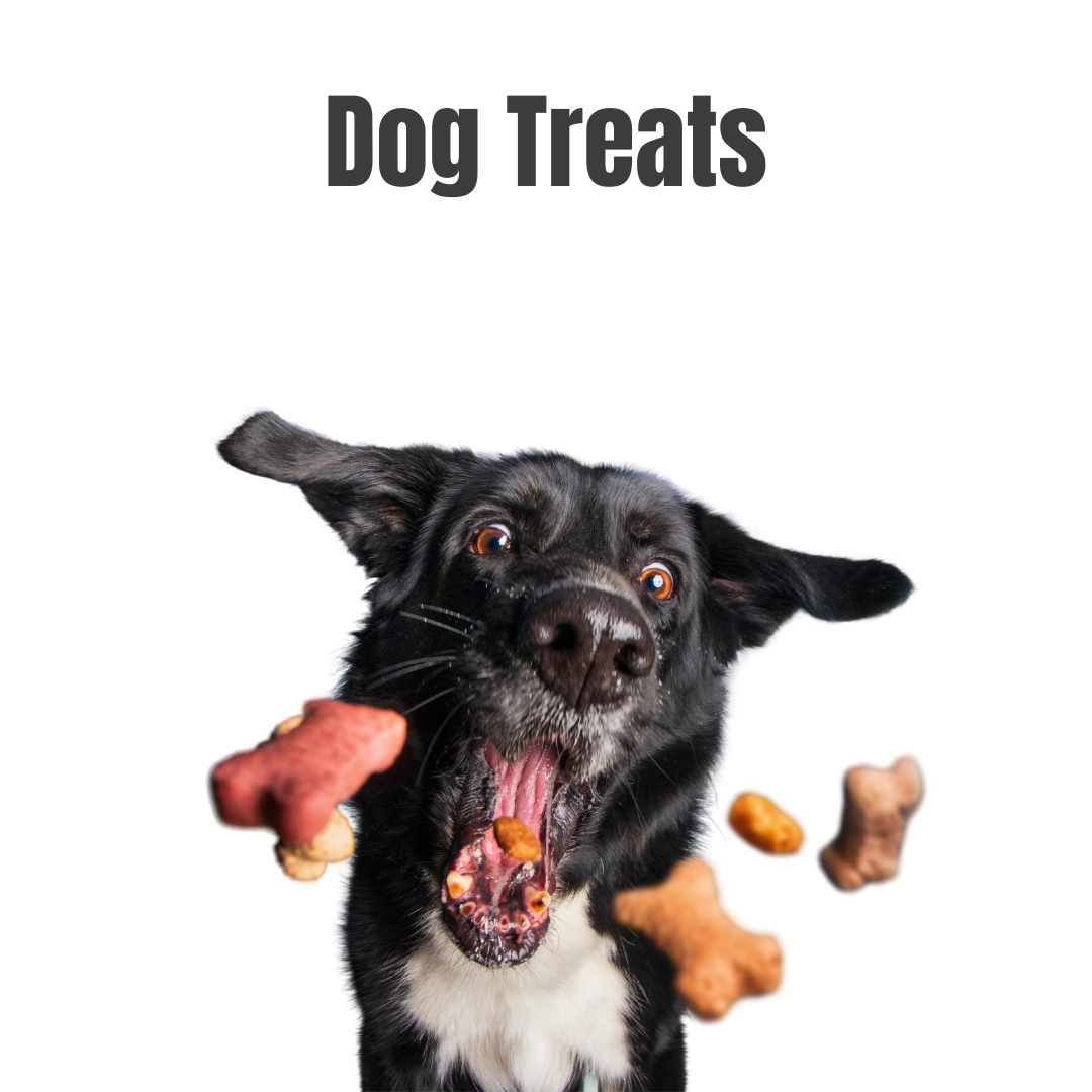 Dog Treats