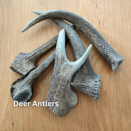 Antlers