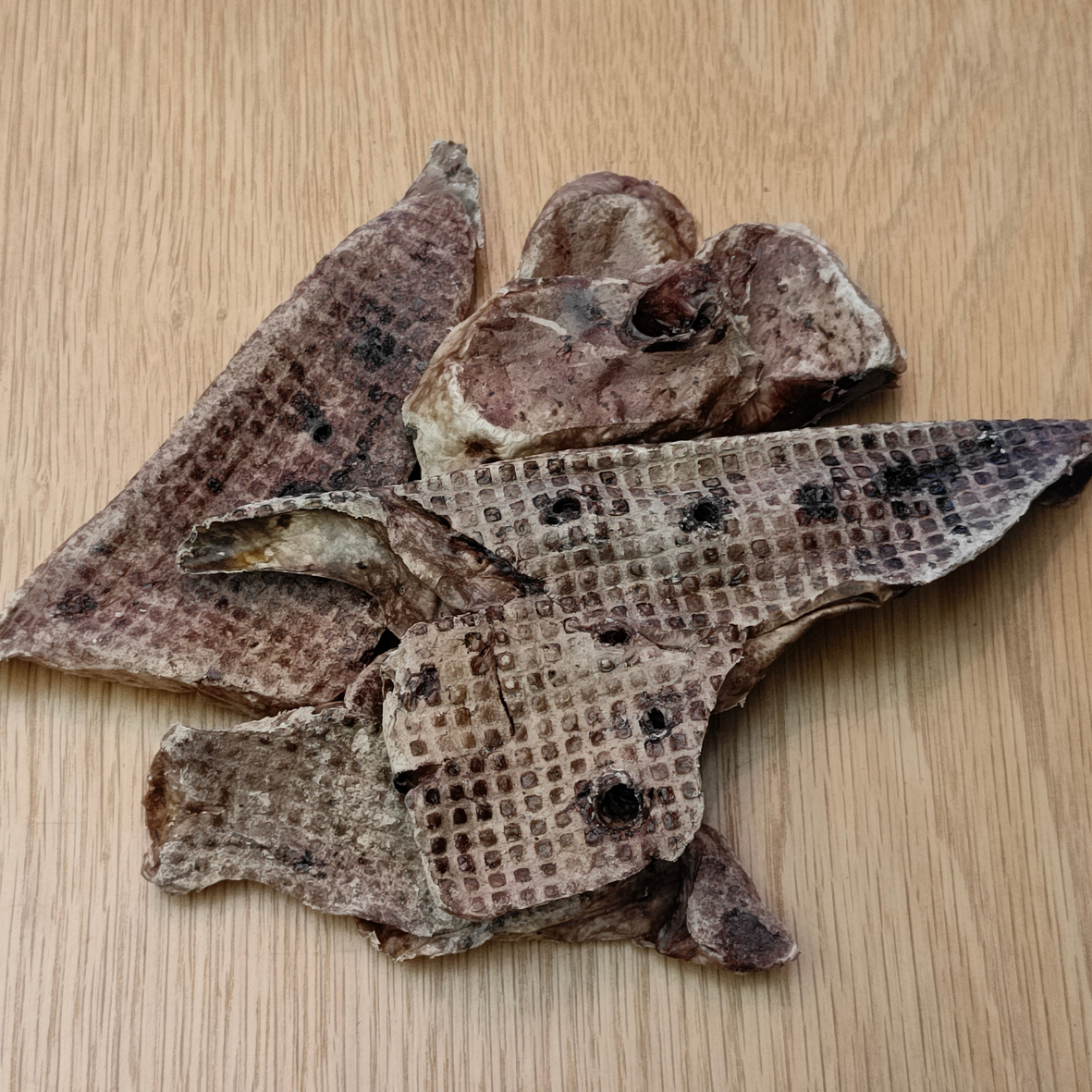 Lamb Lung Slices