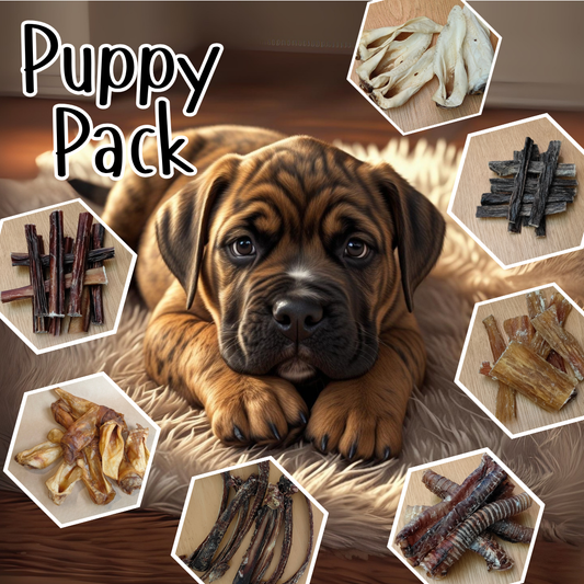 Puppy Pack