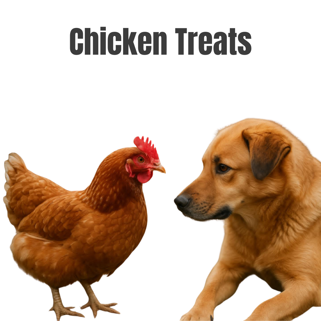 Chicken – Trained by Dog - Shop
