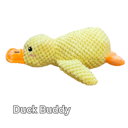 Duck Buddy