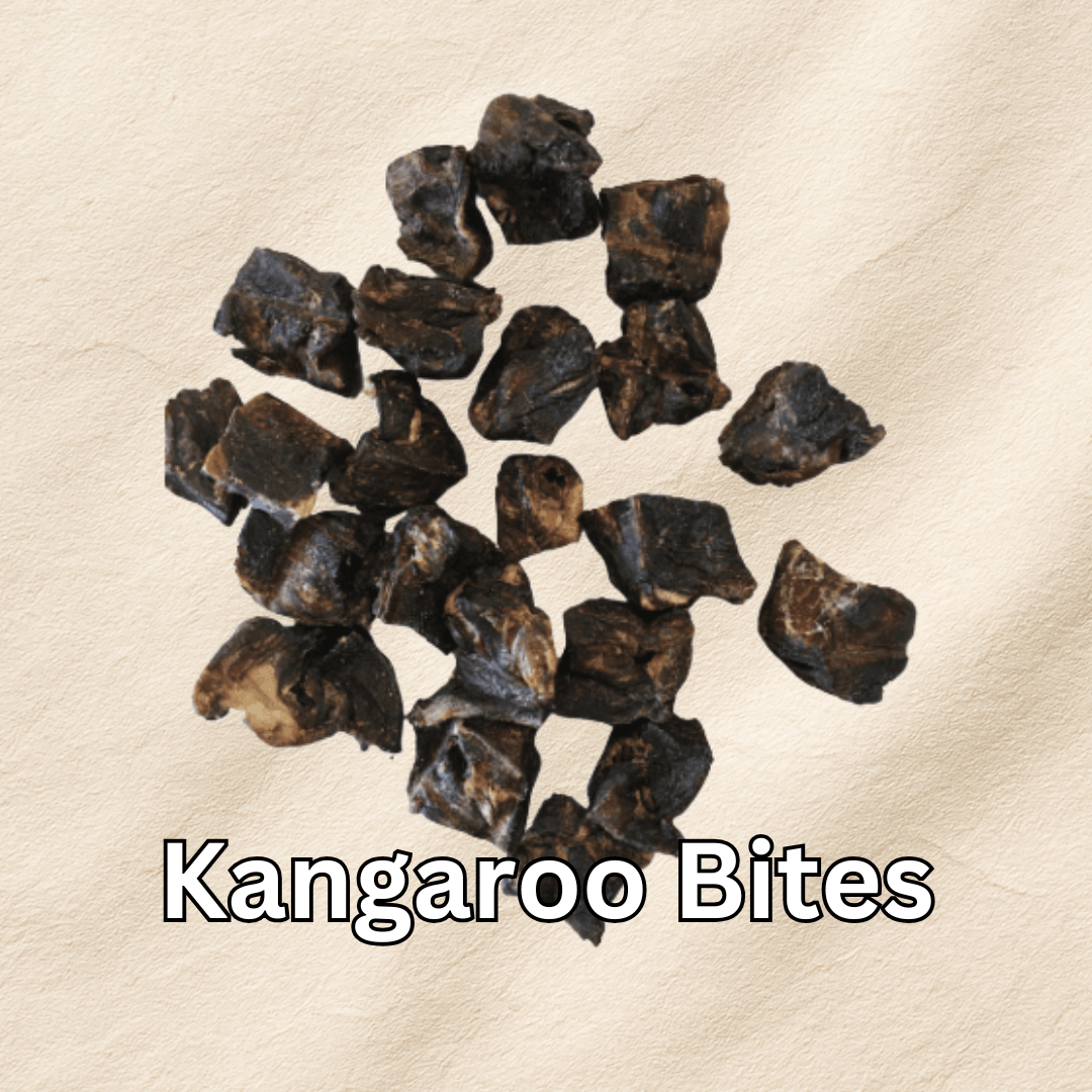 Kangaroo Dog Treats
