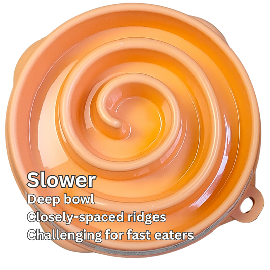 Slow Feeders