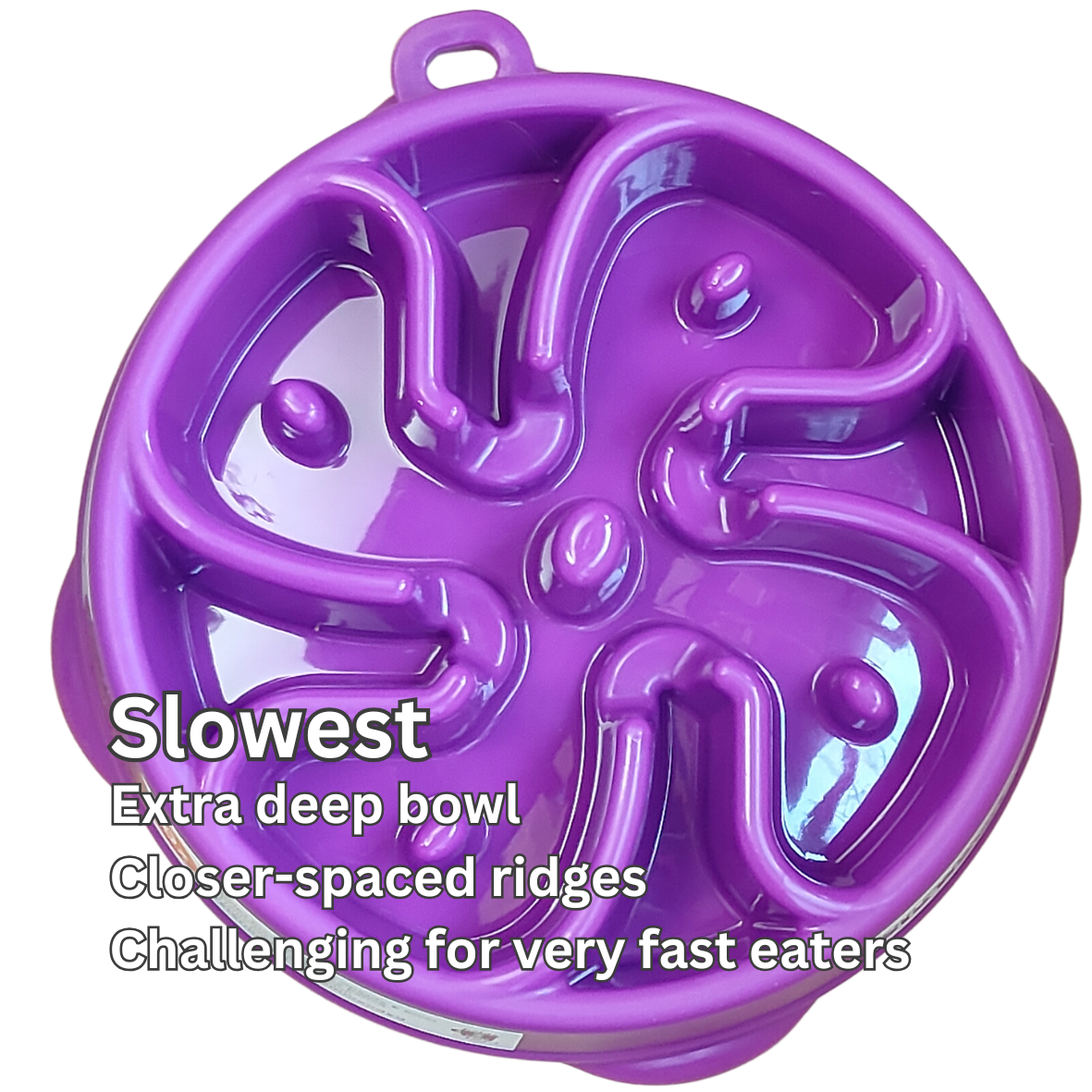 Slow Feeders