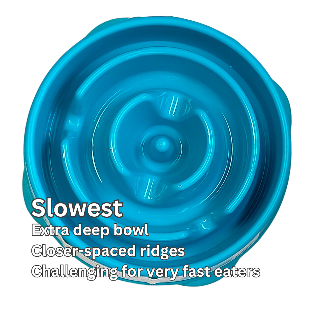 Slow Feeders